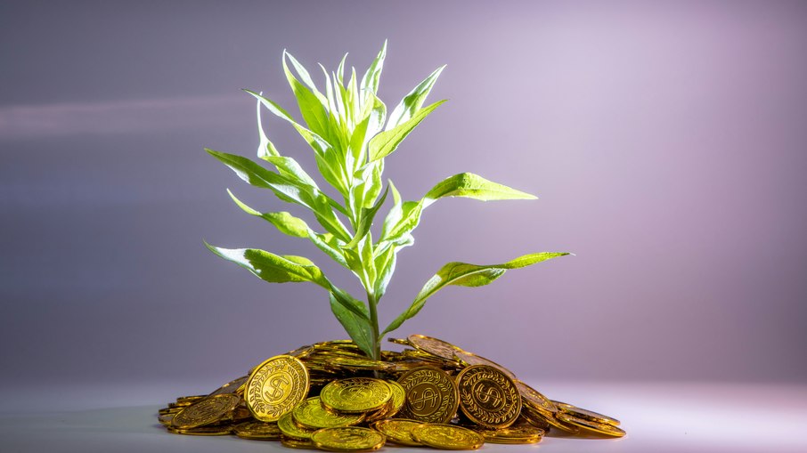 Iniciativas ligadas à sociobioeconomia terão acesso a crédito no Banco do Brasil