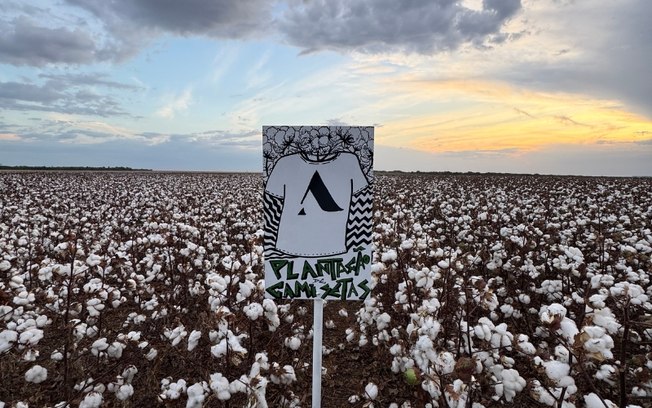 Future Climate e Almagrino vestem transparência na COP30