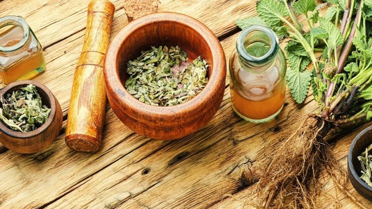 30%20Plantas%20Medicinais%20e%20para%20que%20servem