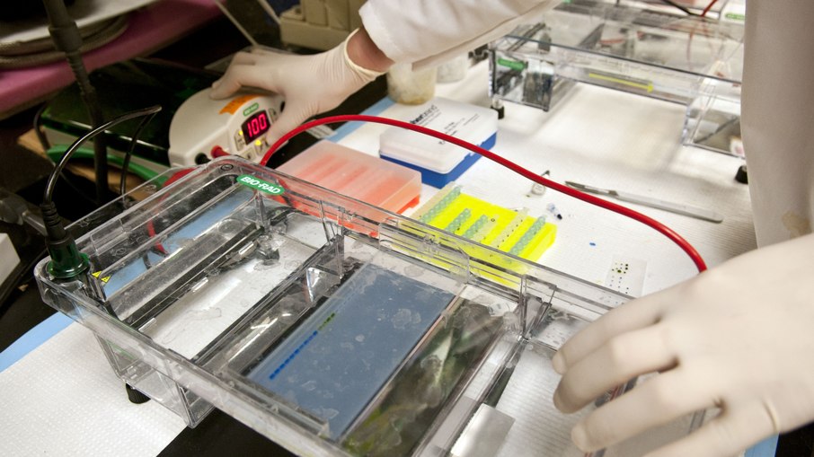 Teste de DNA vincula ex-soldado nazista a 15 filhos na Europa Teste de DNA vincula ex-soldado nazista a 15 filhos na Europa