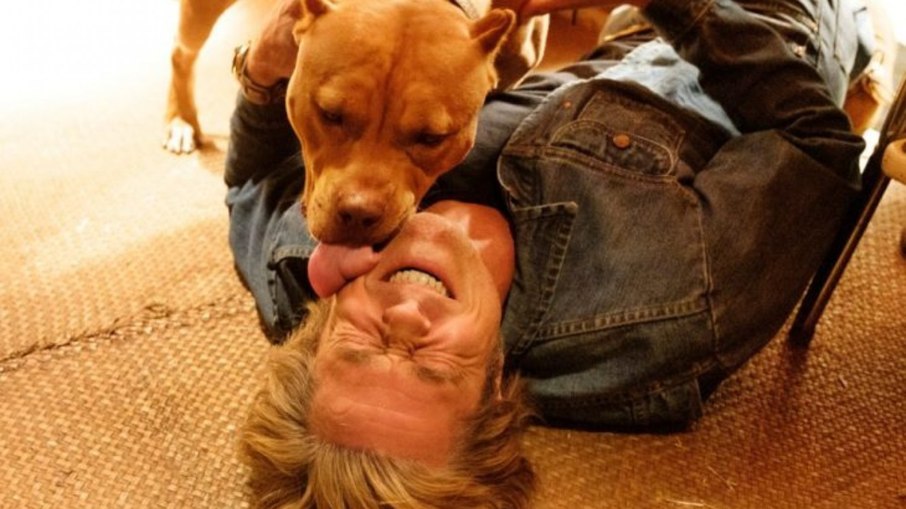 Brad Pitt ganha carinho de pet Brad Pitt ganha carinho de pet