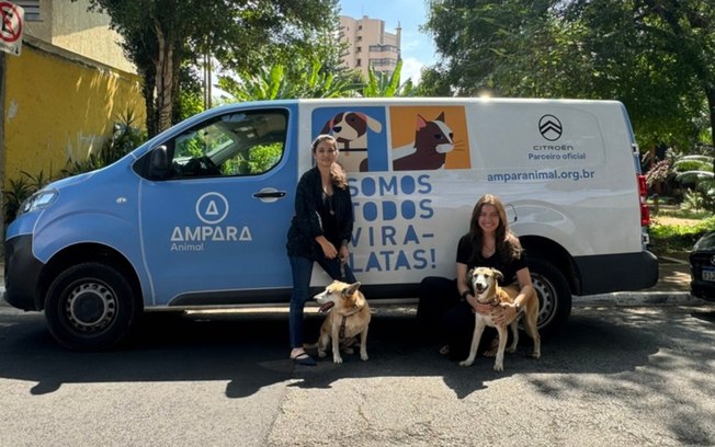Citroën firma parceria com Ampara Animal para acolher pets em suas concessionárias