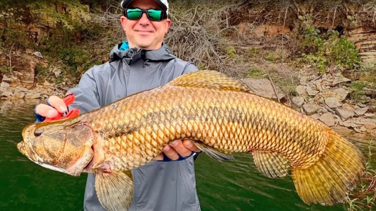 Fisgada%20hist%C3%B3rica%3A%20pescador%20pega%20trair%C3%A3o%20de%2059%20cm%20