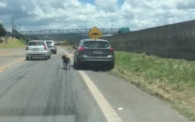 Cachorro é arrastado por carro em Atibaia e motorista acaba autuado pela Polícia Militar Ambiental
