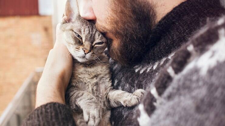 Resultado de imagem para como escrevo? Os animais ajudam humanos superar doenças mentais