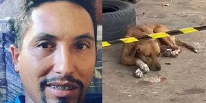 Vídeo: cachorro espera por dono que foi morto em Anápolis (GO)