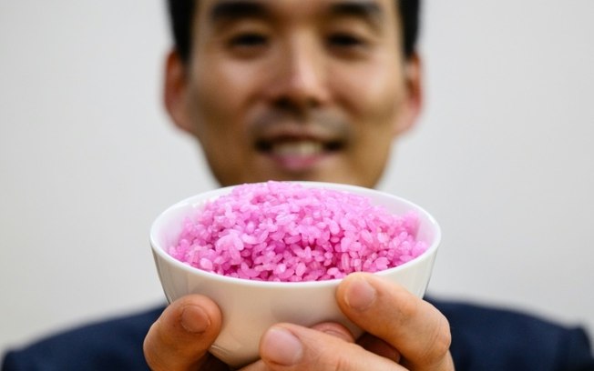 O cientista sulcoreano Hong Jin-kee com seu arroz proteico na Universidade Yonsei de Seul, em 21 de maio de 2024