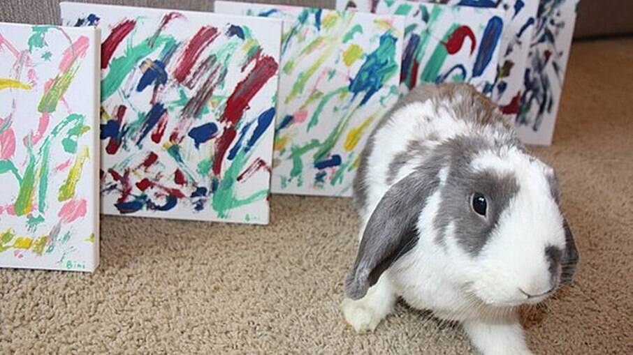 Bini the Bunny, o coelhinho pintor