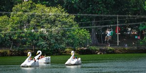 Parques e bosques são reabertos após trégua de chuvas em Campinas