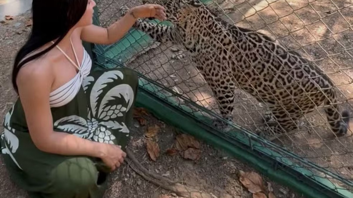 Isabelle Nogueira visita filhote de onça resgatado e vira madrinha