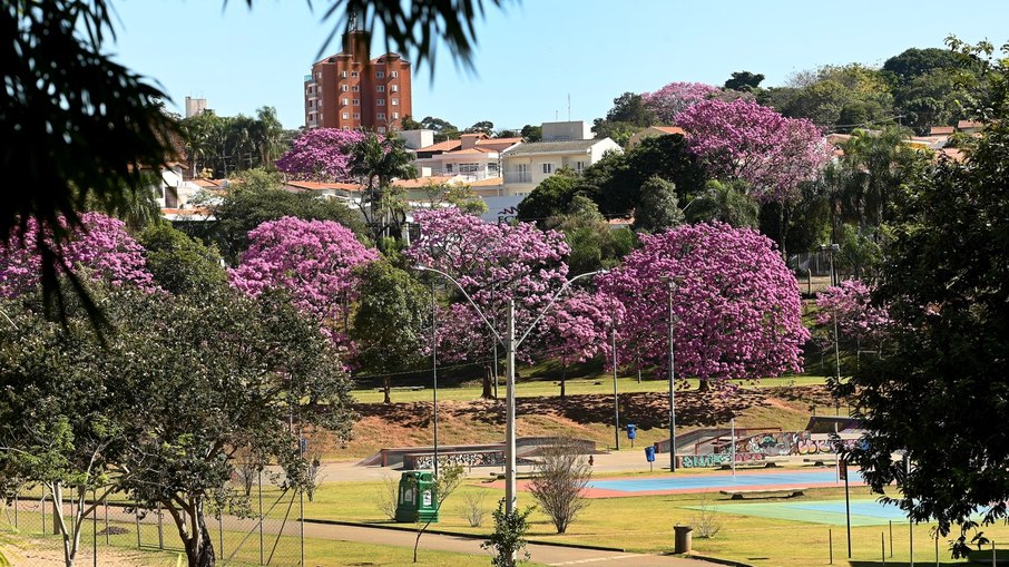 Lagoa do Taquaral