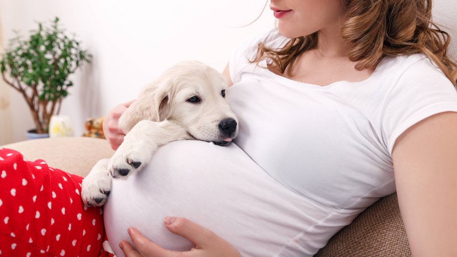 Conviver já durante o desenvolvimento fetal pode trazer benefícios para a saúde do bebê