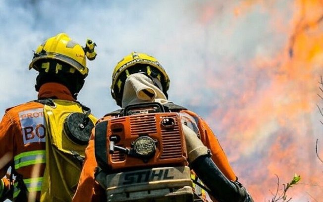 Grande incêndio destrói parte da Floresta Nacional de Brasília