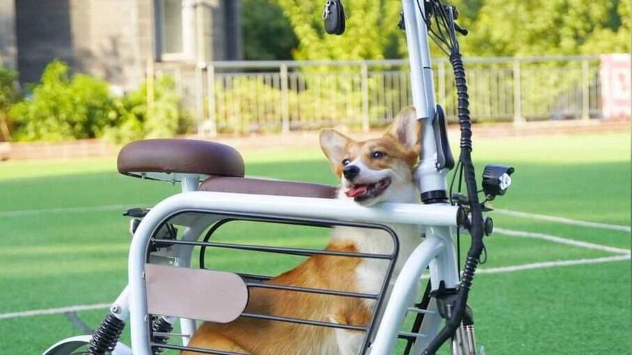 Moppet E-Bike é uma scooter elétrica com possibilidade de transportar o seu pet de estimação para qualquer lugar.