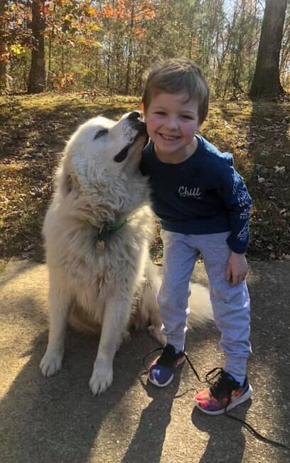 Filho de Lindsey e cão