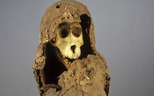 DNA de múmia egípcia de babuíno revela que cidade fabulosa existiu de verdade