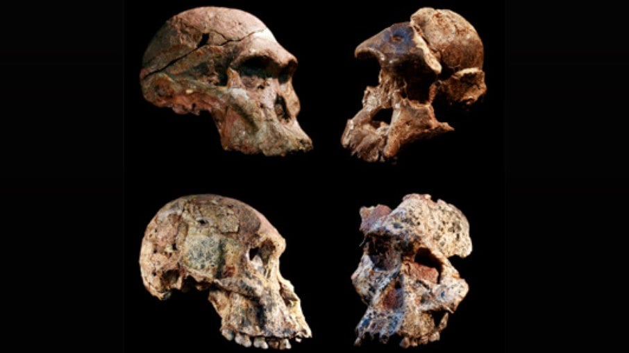 Fósseis humanos da África têm 1 milhão de anos a mais do que se pensava