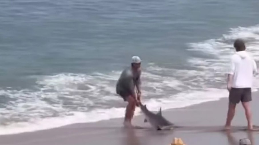 Momento em que rapaz arrasta tubarão pela cauda
