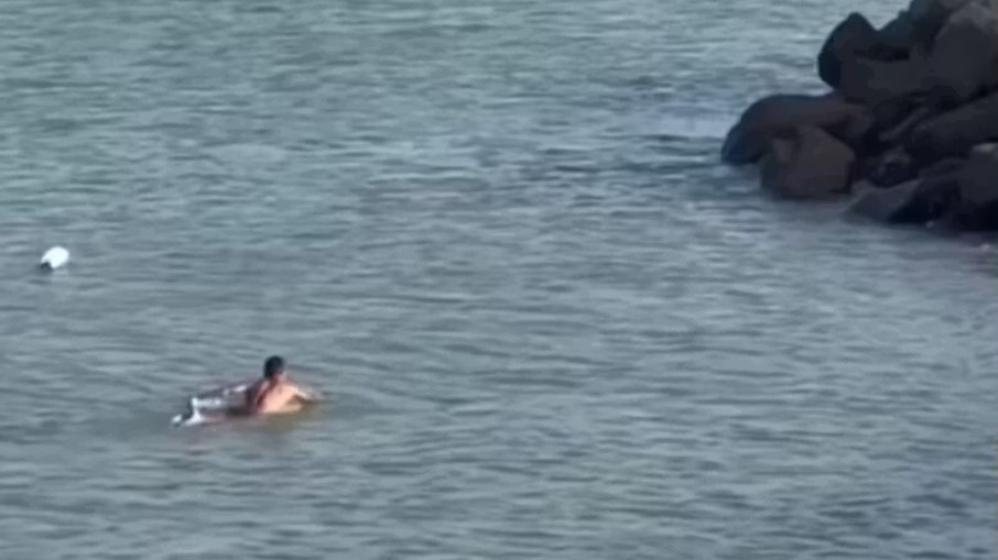 Surfista salva cachorro à deriva e se torna herói do dia Surfista salva cachorro à deriva e se torna herói do dia