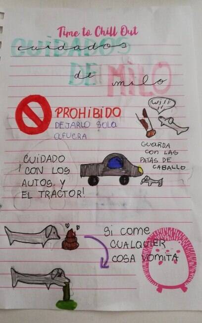 Manual de instruções para cuidar de cachorro