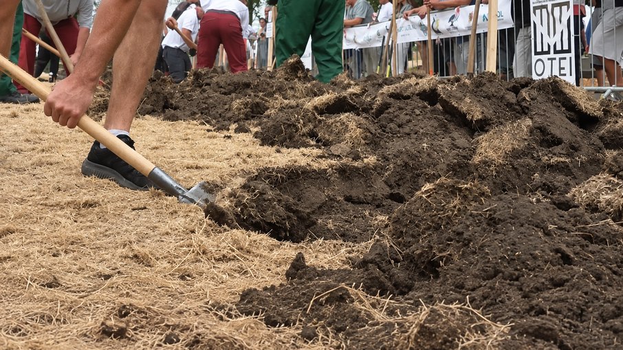 Disputa profissional reúne duplas de coveiros e tenta dar visibilidade à profissão Disputa profissional reúne duplas de coveiros e tenta dar visibilidade à profissão