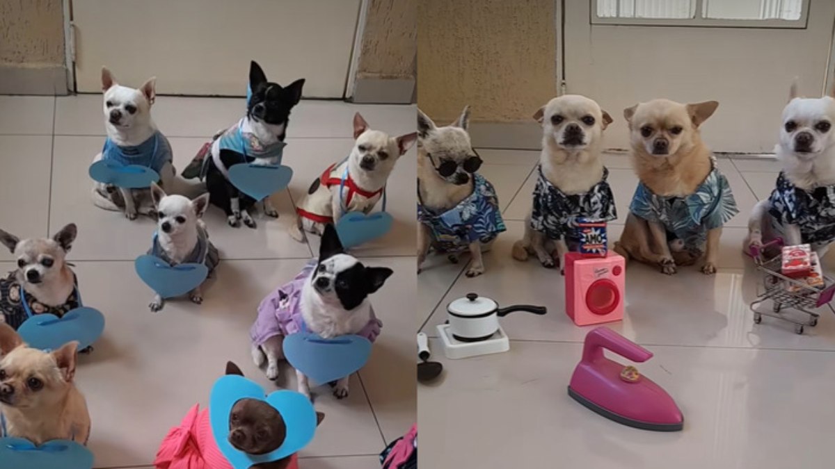 Turminha Top Turminha Top