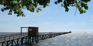 MP investiga cano que jorra sangue em Pelotas (RS)