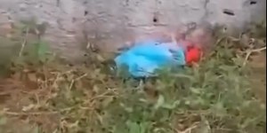 VÍDEO: mulher encontra bebê dentro de sacola em matagal