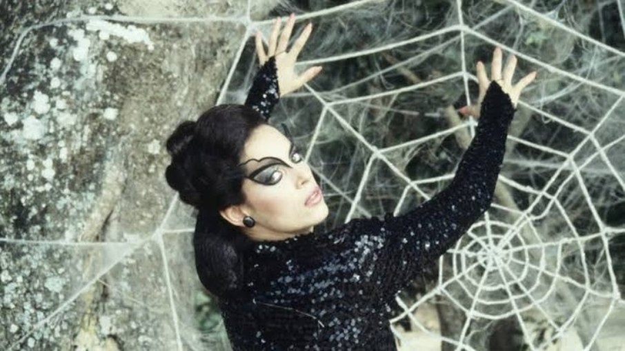 O Beijo da Mulher Aranha O Beijo da Mulher Aranha