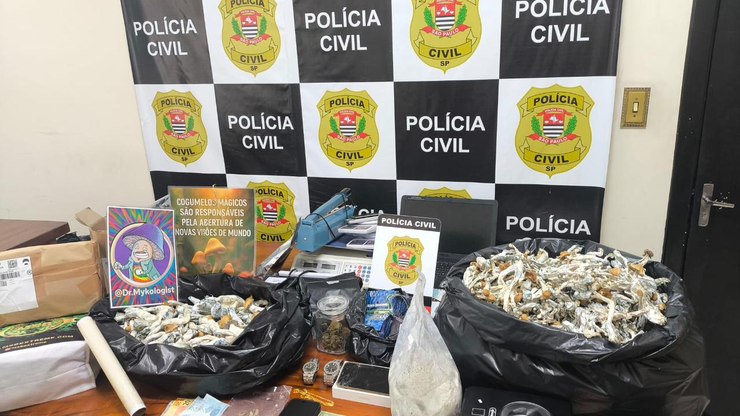 Vídeo: Polícia apreende plantação de cogumelo no litoral de SP