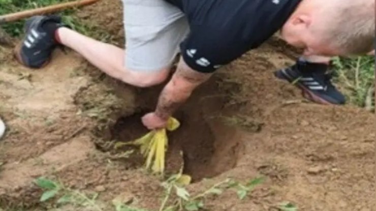 Suspeitos de matar cães a pauladas são presos em Santa Catarina