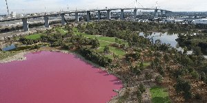 Lago na Austrália tem água completamente rosa-chiclete