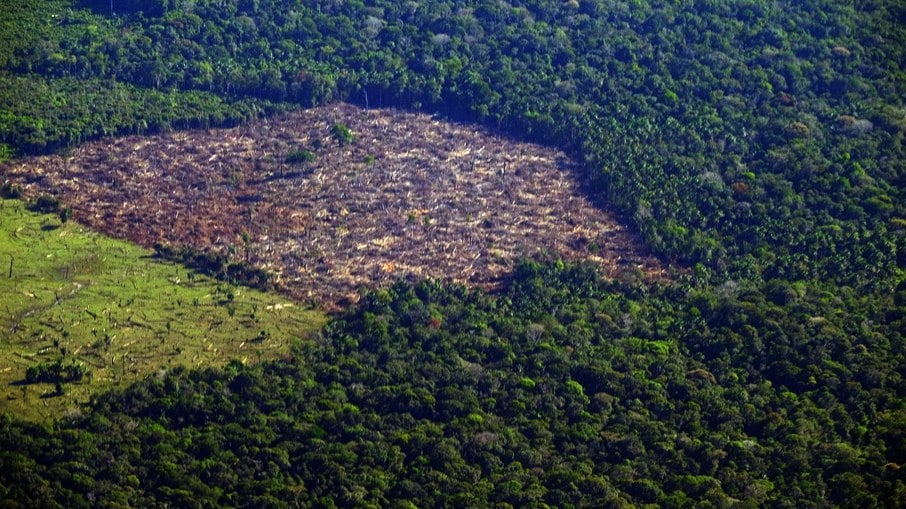 Áreas de desmatamento na Amazônia 