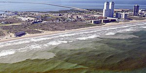 Maré vermelha tóxica causa alerta no litoral dos EUA