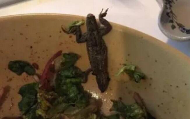 Michele Carr estava comendo uma salada preparada em casa quando deu de cara com um lagarto
