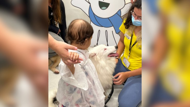 Cães resgatados levam apoio a pacientes com câncer