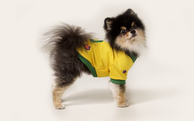 Craques do futebol inspiram nomes de cães e gatos no país 8yasd8al32pnjitx0hafe0jps