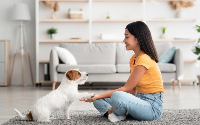 5 dicas para uma boa convivência com cachorro em apartamento