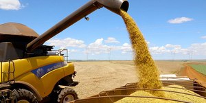 PIB do Brasil cresce 1,4% no 1º trimestre de 2025, diz IBGE