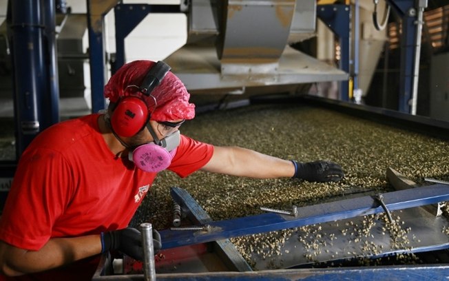 Um trabalhador verifica grãos de café em uma fábrica de processamento em Brasília, em 15 de setembro de 2022