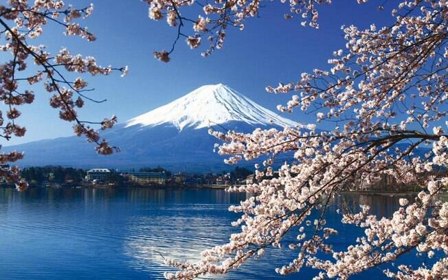 As cerejeiras deixam as paisagens do Japão ainda mais belas