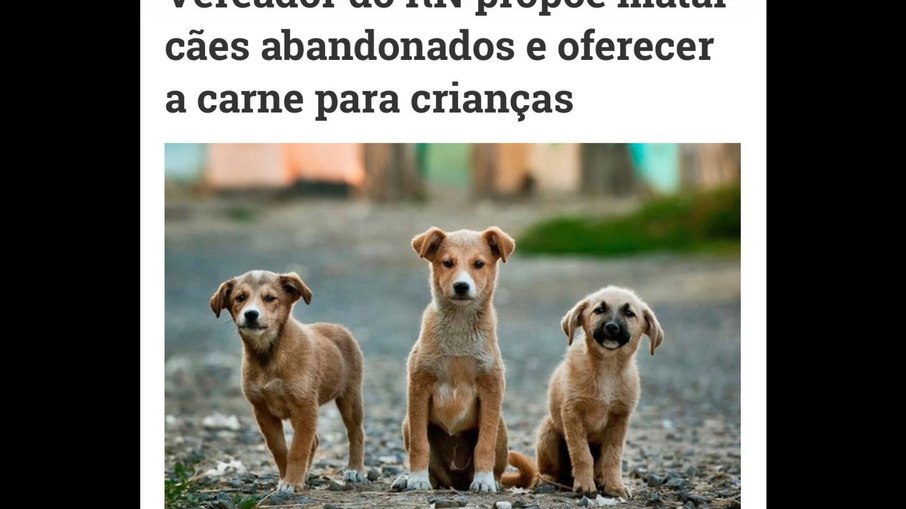 A fala foi distorcida, e se referia ao  projeto de lei 094/2021 sobre o abate de animais de rua