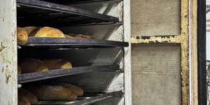 Fezes de rato e baratas interditam padaria em Porto Alegre