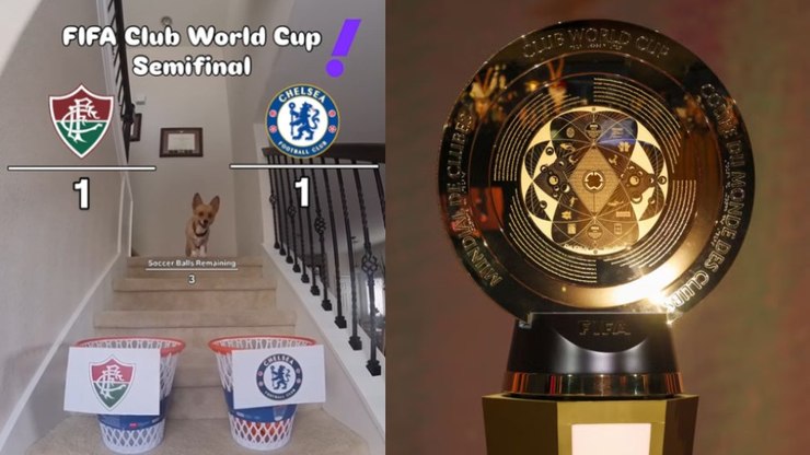 Cão vidente prevê ganhador de Fluminense x Chelsea; assista