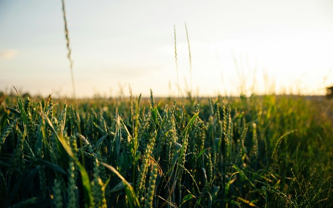 Tecnologia inova o campo e agronegócio em 2025