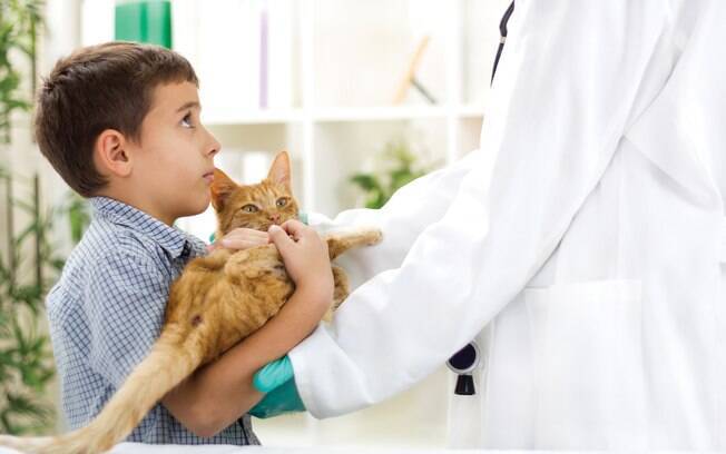 Em caso de envenenamento, ligue imediantamente para o veterinário e saiba como proceder nos primeiros socorros