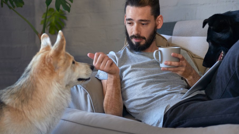 Estudou anterior comprovou também que os cães conseguem se comunicar com os donos utilizando linguagem gestual