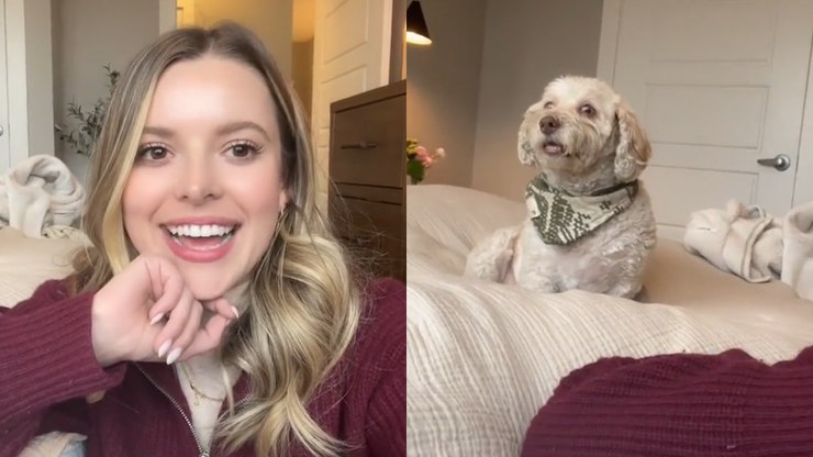 Cachorro ‘viajando alto’ pelos efeitos da anestesia viraliza