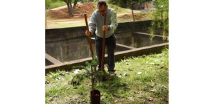Aposentado planta 41 mil árvores e cria floresta em São Paulo