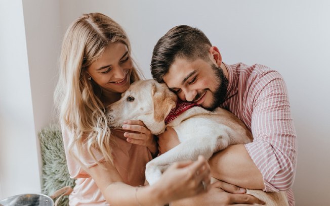 Nova lei regulamenta guarda compartilhada de pets em separações 923ue9ri0a6gzj32chfarwwxy